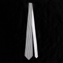 Striped Tie ties