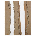 Stripes of corrugated cardboard full color flyer