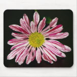 Stripped Daisy mousepads
