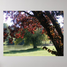 Stroll in the Park Print