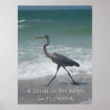 Strolling Blue Heron Canvas Print