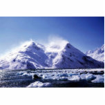 Strong West Wind in Harriman Fjord photo sculptures