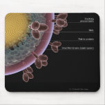 Structure d'une cellule d'HIV Tapis De Souris