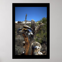 Structure of Roots Print