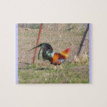 Struttin' Proud Puzzle