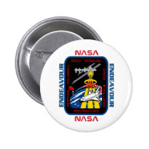 STS 118 Endeavour Pins