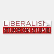 Stuck on Stupid Bumper Stickers