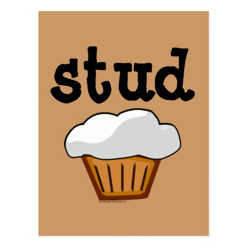 Stud Muffin, Cute Funny Baked Good Postcard