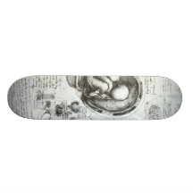 Studies of embryos skate boards