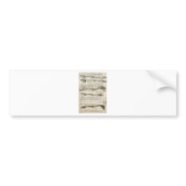 Studies of the Arm by Leonardo Da Vinci c. 1510 Bumper Stickers