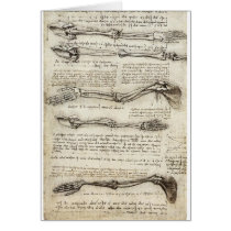 Studies of the Arm by Leonardo Da Vinci c. 1510 Cards