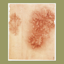 Study for the Lost Painting, Leda, Da Vinci posters