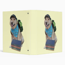Study Lab 3 Ring Binders