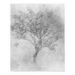 Study of a Lemon Tree - 1859 - Poster posters
