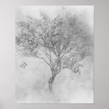 Study of a Lemon Tree - 1859 - Poster