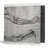 Study of Arms binders