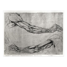 Study of Arms Post Card