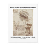 Study Of Brain Physiology (Leonardo da Vinci 1508) Postcard