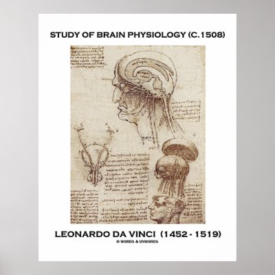 leonardo brain