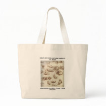 Study Of Cats & Other Animals (Leonardo da Vinci) Canvas Bag