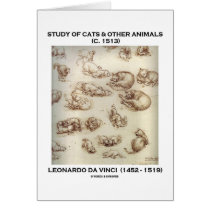 Study Of Cats & Other Animals (Leonardo da Vinci)