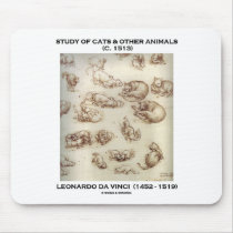 Study Of Cats & Other Animals (Leonardo da Vinci)