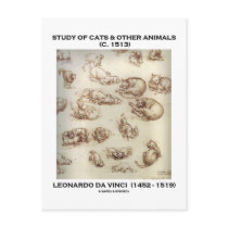 Study Of Cats & Other Animals (Leonardo da Vinci)