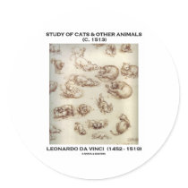 Study Of Cats & Other Animals (Leonardo da Vinci)