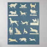 Study of Dogs Poster