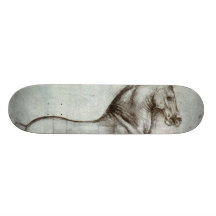 Study of horse. skate board