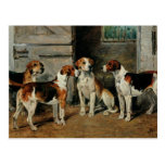 Study of Hounds Post Card