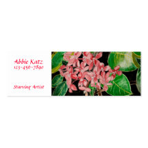 Study of Light After Dark business cards