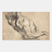 Study of man's torso by Paul Rubens Rectangular Stickers