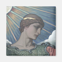 Study of Minerva Fridge Magnet