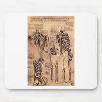 Study of Skeletons mousepads