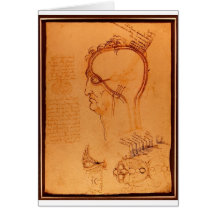 Study of the skull card