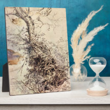 Study of Tree by Paul Rubens Display Plaque