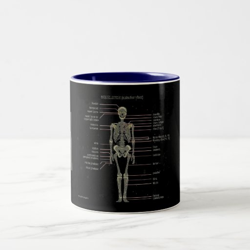 Study Them Bones... Coffee Mug