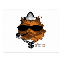 Stuff on my Cat - 2 kewl Postcard