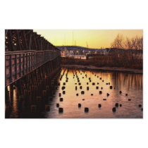Stumps at the Pier Custom Stationery