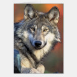 Stunning grey wolf cards