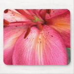 Stunning Pink Flower Mouse Mat