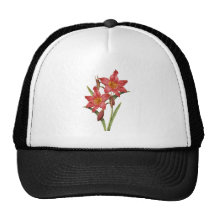Stunning Tropical Amaryllis Study Hat