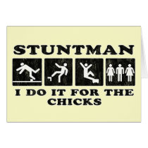 stuntman -  i do it for the chicks