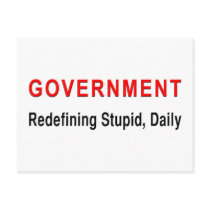 Stupid Government