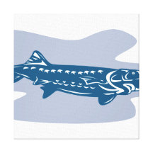 Sturgeon Fish Retro Canvas Prints