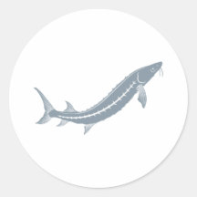 Sturgeon Fish Round Stickers