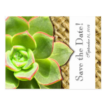 Stylized Hen and Chick Burlap save the date Postcard