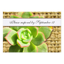 Stylized Hen and Chick Succulent Burlap rsvp Invites