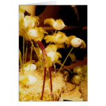 Styrofoam Chicks Greeting Cards